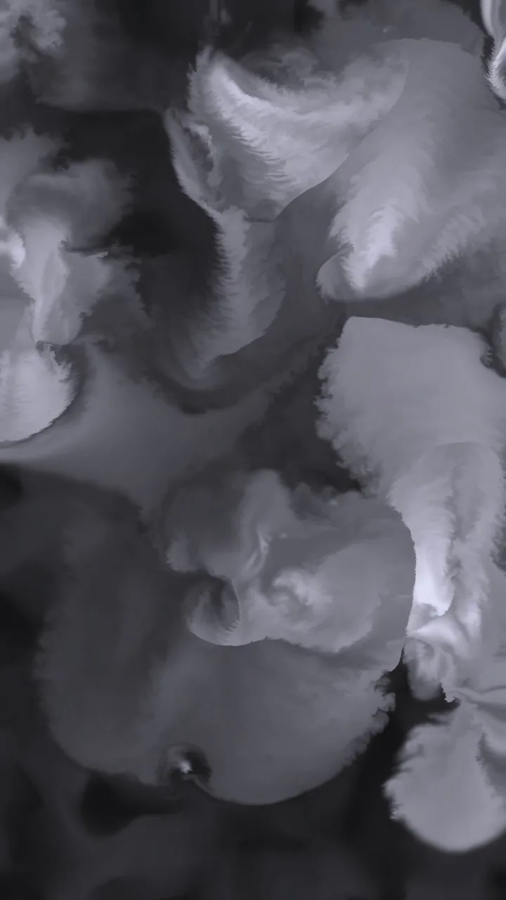 Optical Flow + Fluid